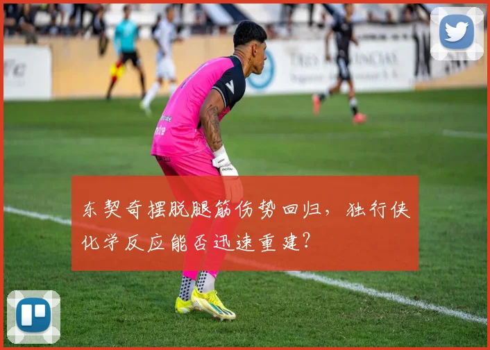 东契奇摆脱腿筋伤势回归,独行侠化学反应能否迅速重建?
